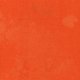Tiny image of 16 Count Tangelo Aida 12x16