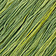 Tiny image of Avocado #017 - Colour and Cotton Thread