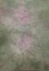 Tiny image of 28 Count Garden of Dreams Linen 12x17