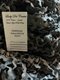 Tiny image of Primrose Halloween Night 1/2" Rick Rack (3yds)
