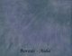 Tiny image of 14 Count Boreas Aida 13x18