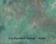 Tiny image of 16 Count Enchanted Forest Aida 13x18
