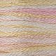 Tiny image of DMC Color Variations Floss - Glistening Pearl - 4160